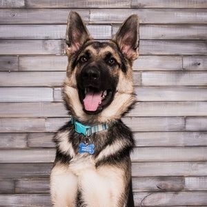 Meet your Posher, Kristel